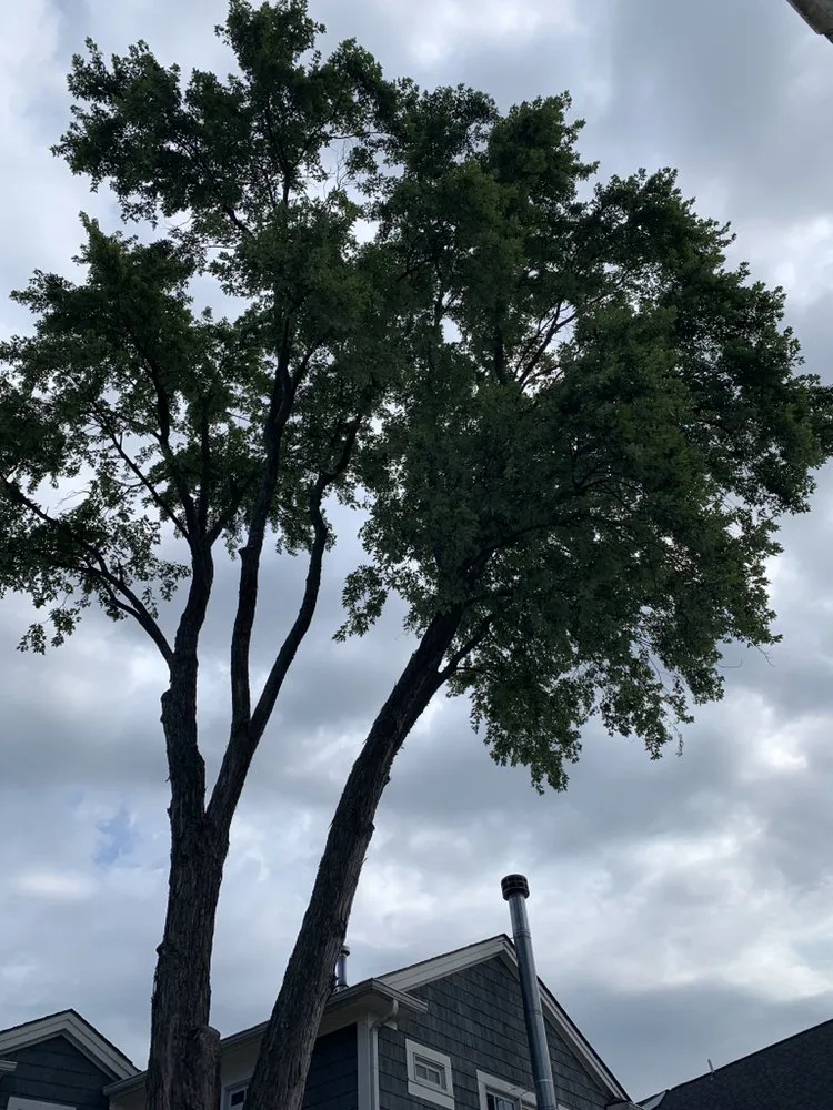 Affordable residential landscaping experts serving Lakeville, MI - Addison Tree & Outdoor Services