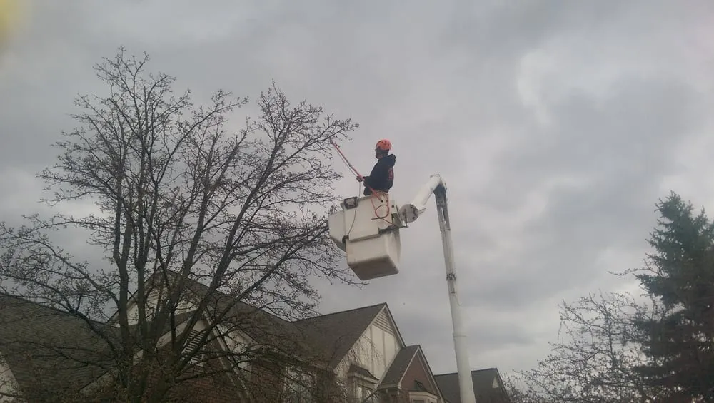 Professional yard cleanup service for homes in Lakeville, MI by Addison Tree & Outdoor Services