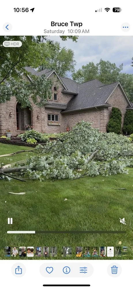 Affordable landscape installation for outdoor upgrades across Lakeville, MI - Addison Tree & Outdoor Services
