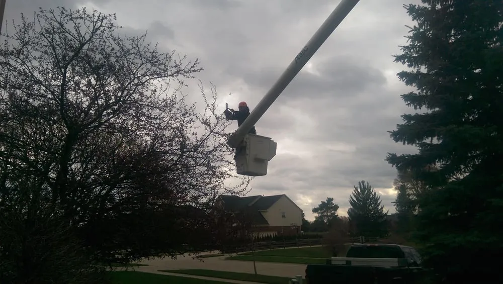 Top-rated yard maintenance in Lakeville, MI - Addison Tree & Outdoor Services