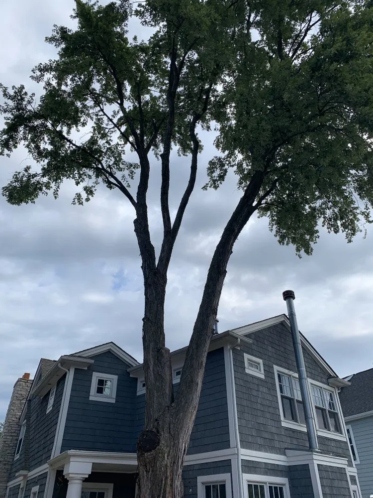Custom residential landscaping for residential properties in Lakeville, MI by Addison Tree & Outdoor Services