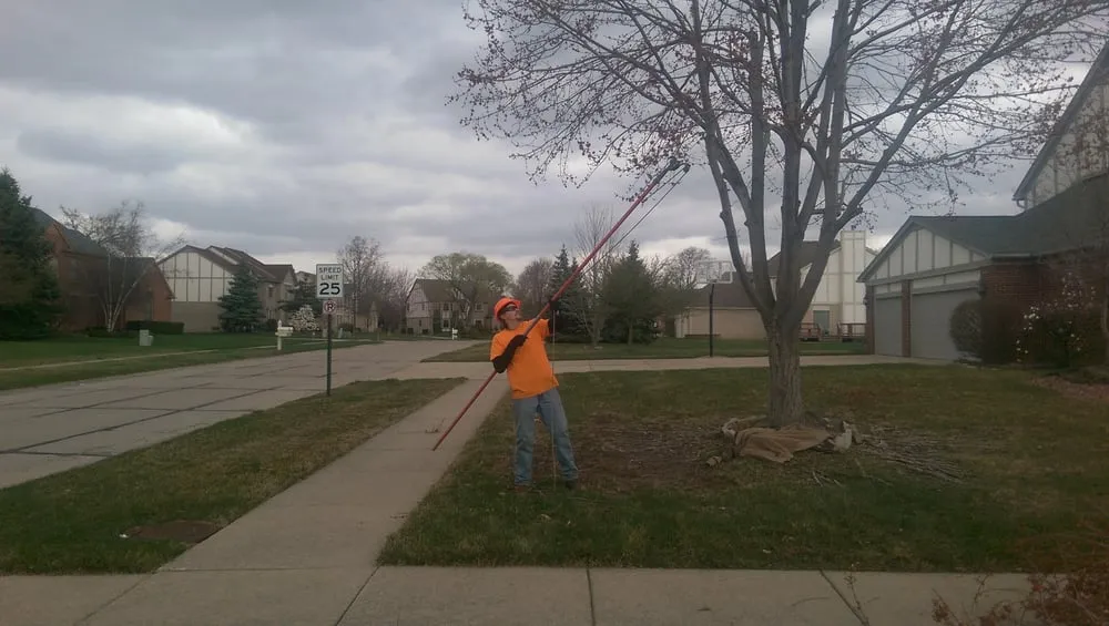 Local landscape design for year-round maintenance in Lakeville, MI by Addison Tree & Outdoor Services