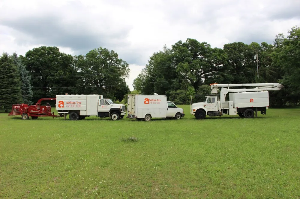 Trusted landscape installation experts serving Lakeville, MI - Addison Tree & Outdoor Services