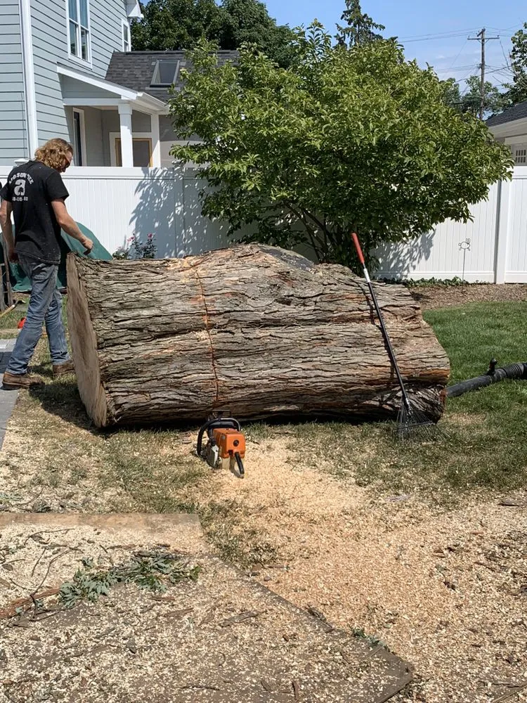 Professional landscape installation in Lakeville, MI by Addison Tree & Outdoor Services