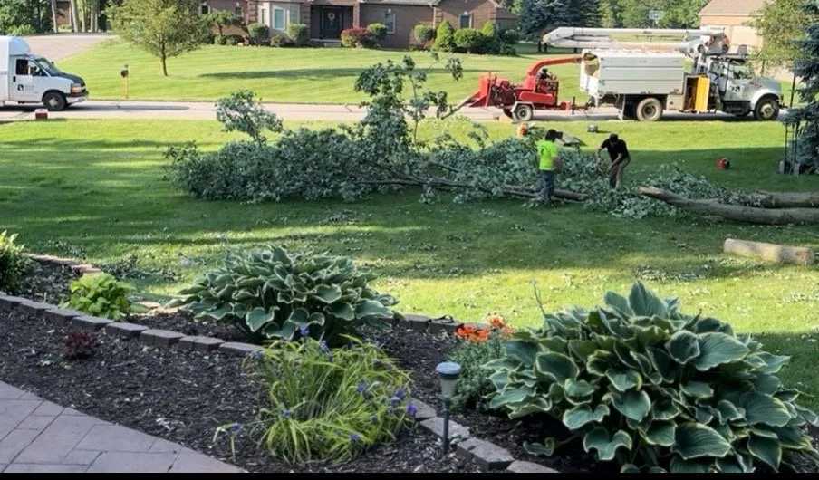 Trusted outdoor landscaping experts serving Lakeville, MI - Addison Tree & Outdoor Services