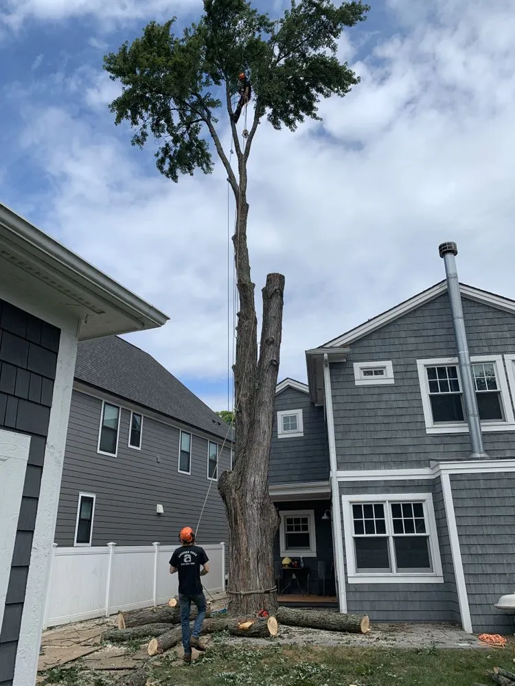 Expert garden landscaping experts serving Lakeville, MI - Addison Tree & Outdoor Services
