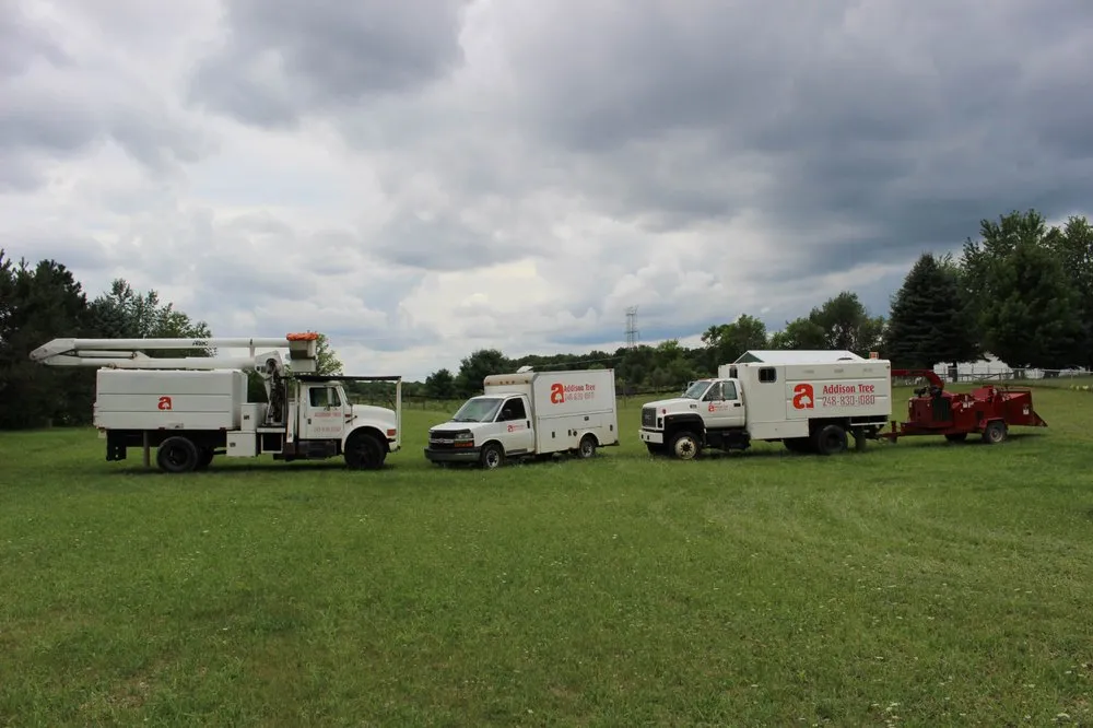 Custom lawn mowing service in Lakeville, MI by Addison Tree & Outdoor Services