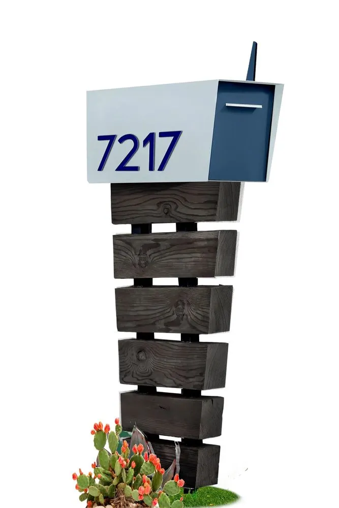 Reliable yard cleanup service in Phoenix, AZ by Address Rehab