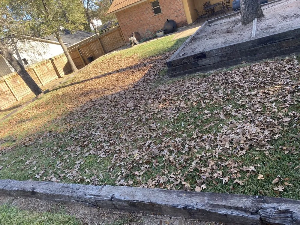 Expert landscape design for year-round maintenance across Huntsville, TX - Addy Kays Lawn Care