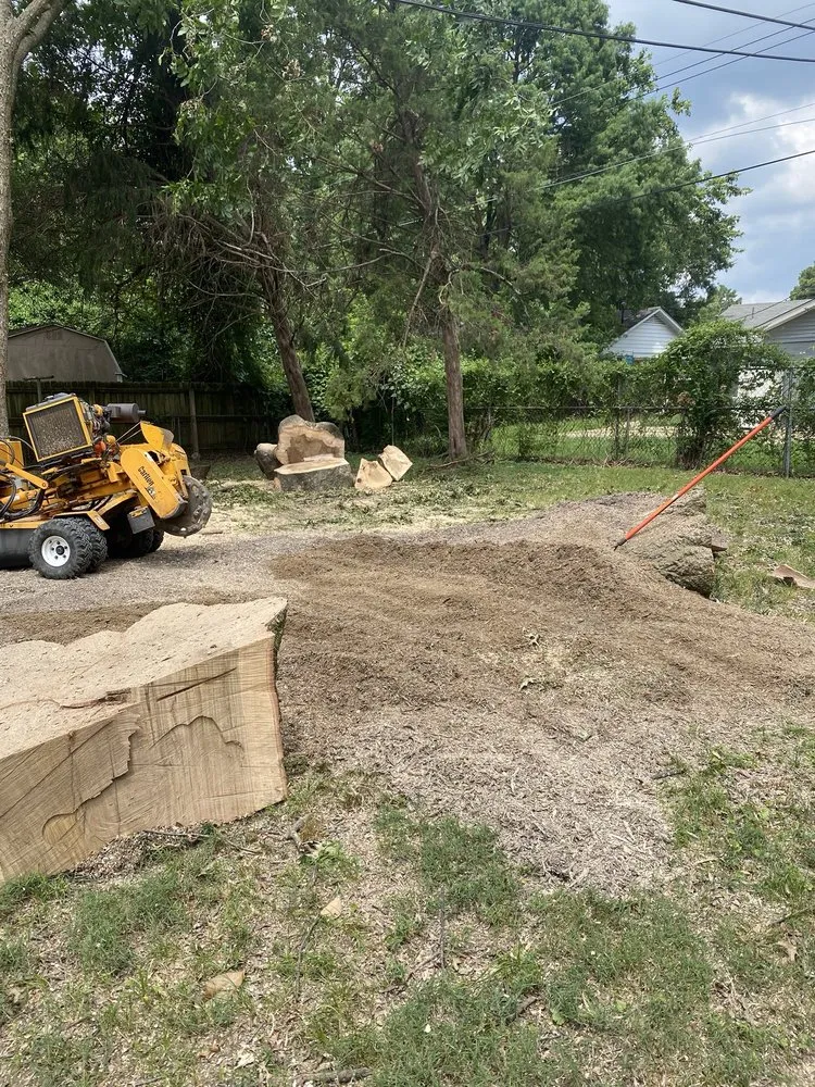 Expert yard cleanup service for outdoor upgrades across Memphis, TN - A.D&E Stump Grinder Services