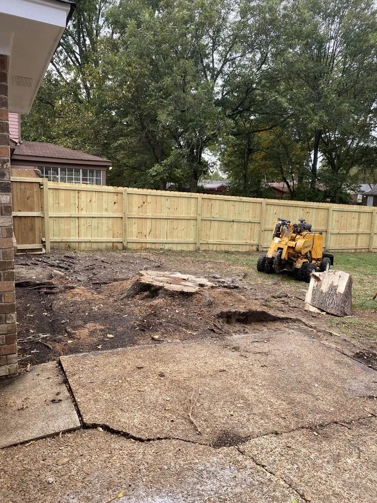Professional yard maintenance in Memphis, TN by A.D&E Stump Grinder Services