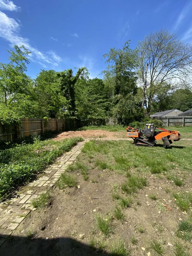 Expert yard maintenance with custom design in Memphis, TN by A.D&E Stump Grinder Services