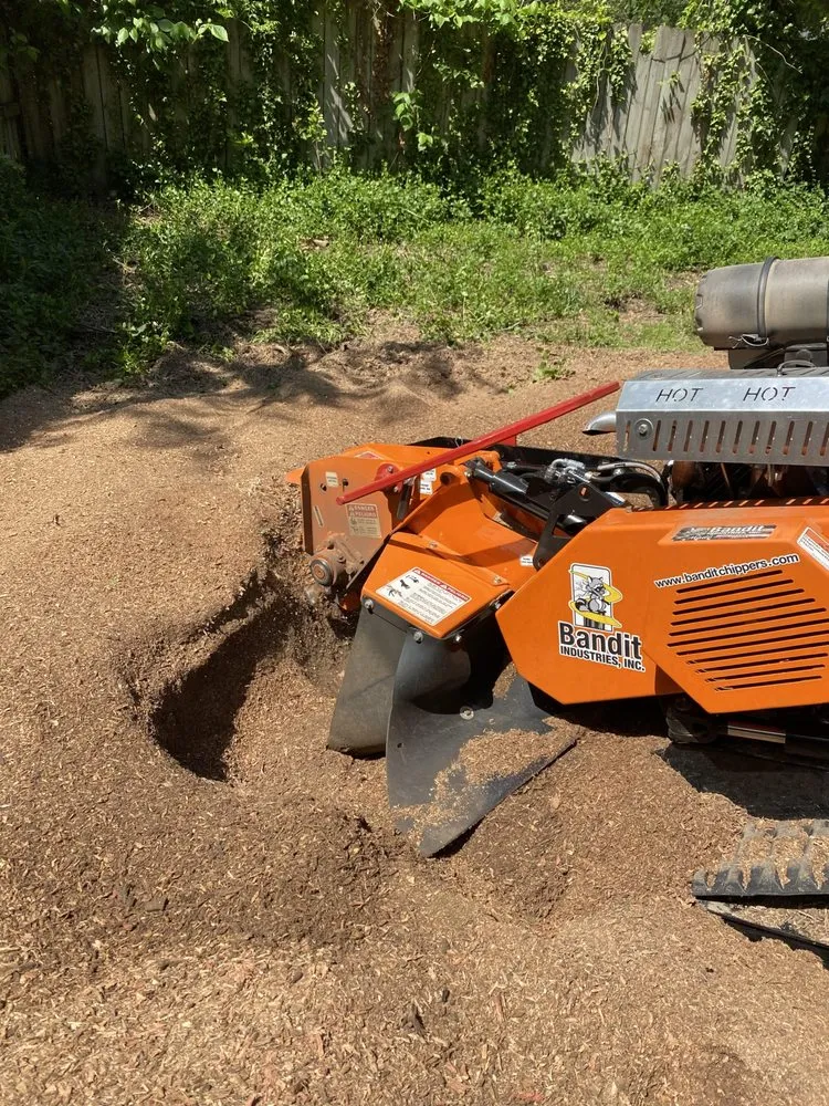 Trusted landscape design for beautiful yards in Memphis, TN by A.D&E Stump Grinder Services