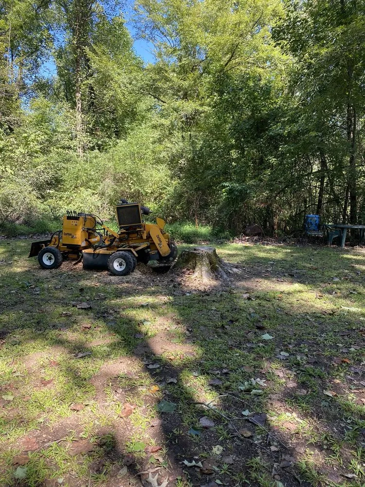 Trusted yard cleanup service for year-round maintenance across Memphis, TN - A.D&E Stump Grinder Services