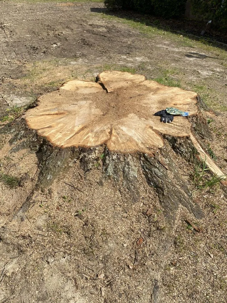 Local lawn mowing service in Memphis, TN by A.D&E Stump Grinder Services