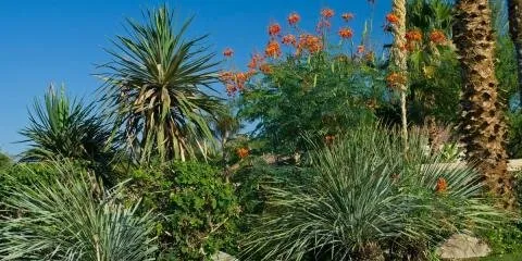 Affordable residential landscaping in San Jose, CA - Aden Landscaping
