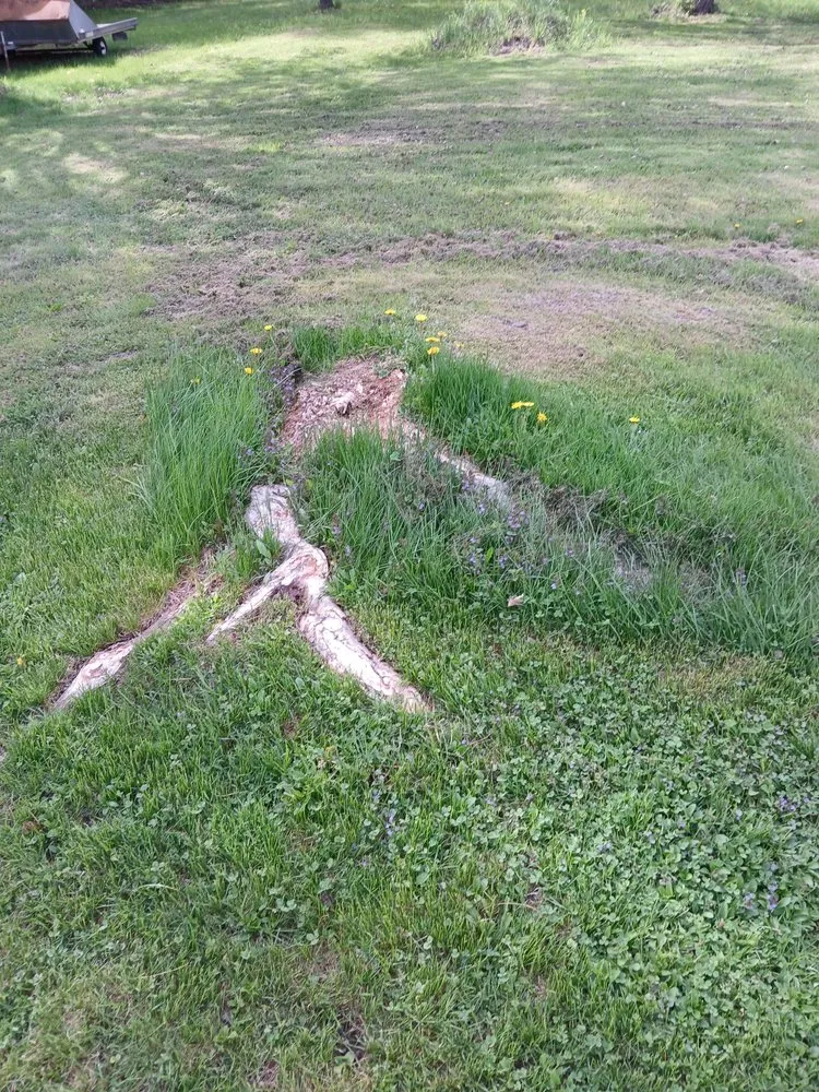 Expert lawn mowing service in Hermon, ME - Adens Outdoor Services