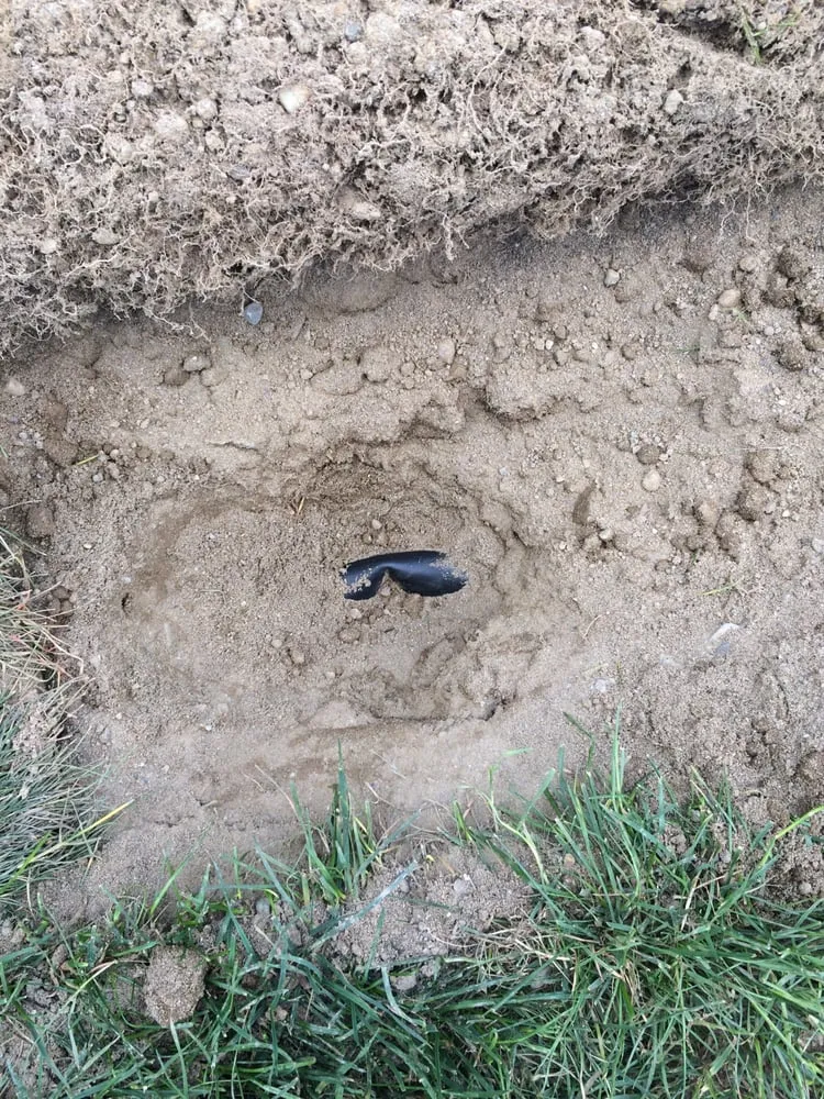 Professional lawn care service experts serving Spanaway, WA - Adept Grounds Maintenance