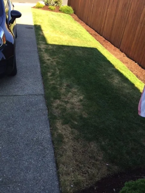 Trusted landscape installation for residential properties across Spanaway, WA - Adept Grounds Maintenance