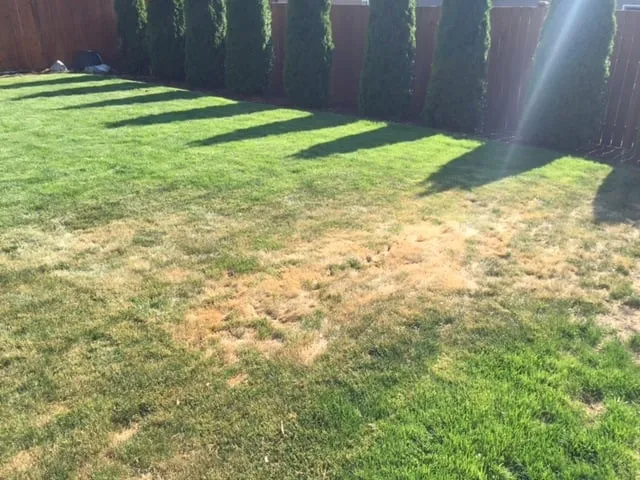 Trusted landscaping services with custom design in Spanaway, WA by Adept Grounds Maintenance