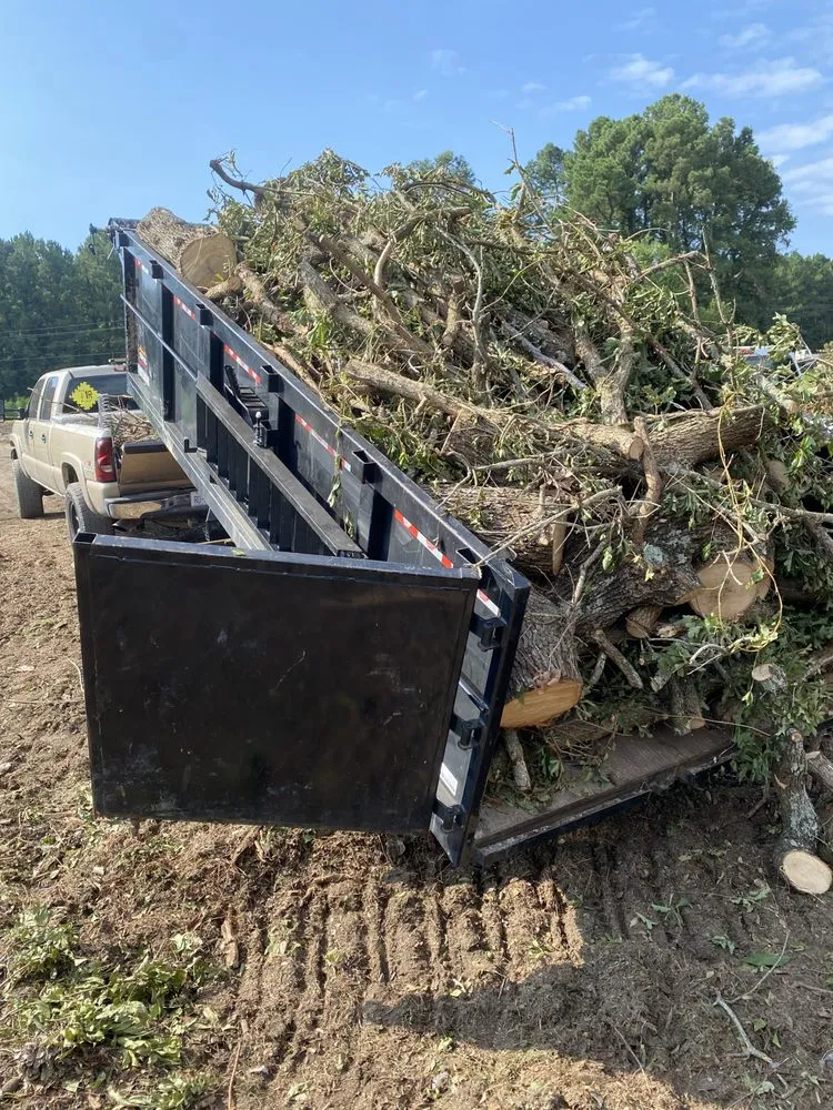 Custom yard cleanup service in Fayetteville, NC by Adept Home Solutions