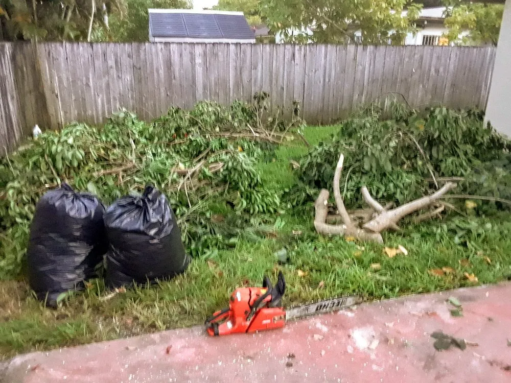 Reliable yard maintenance near you across Oakland Park, FL - Adescat Landscaping & Lawn Care