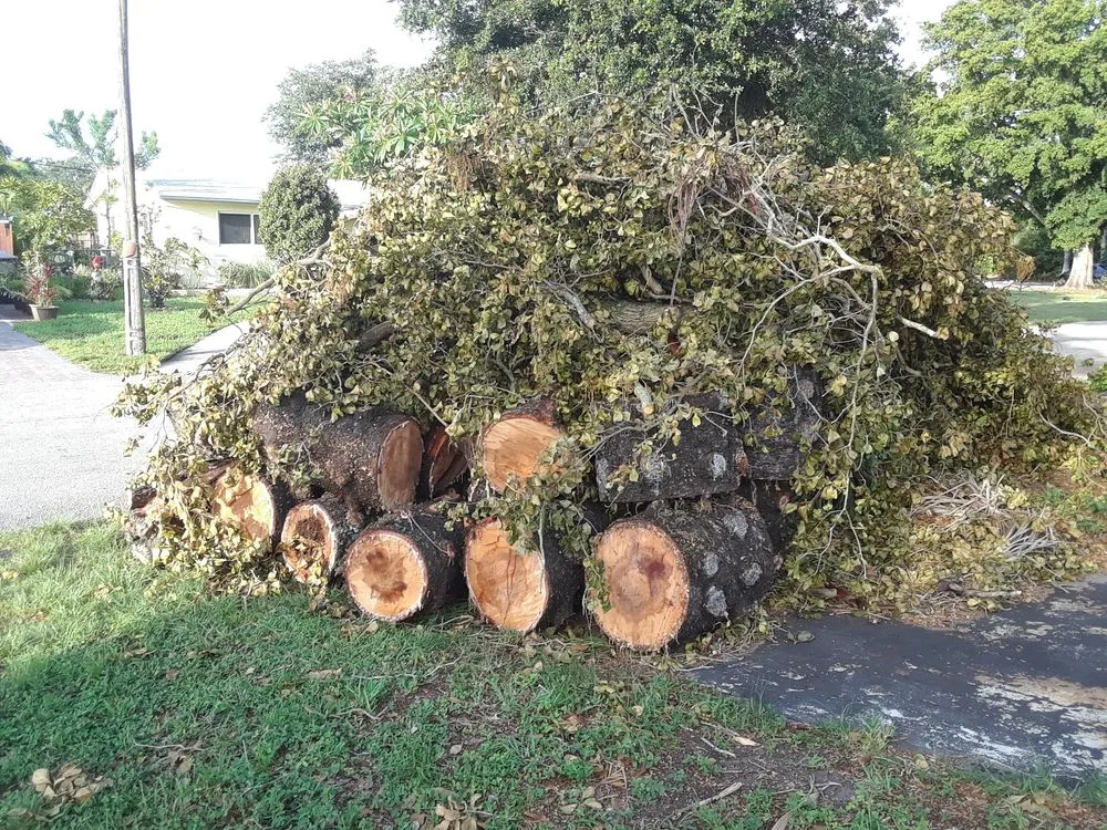 Reliable lawn care service near you across Oakland Park, FL - Adescat Landscaping & Lawn Care