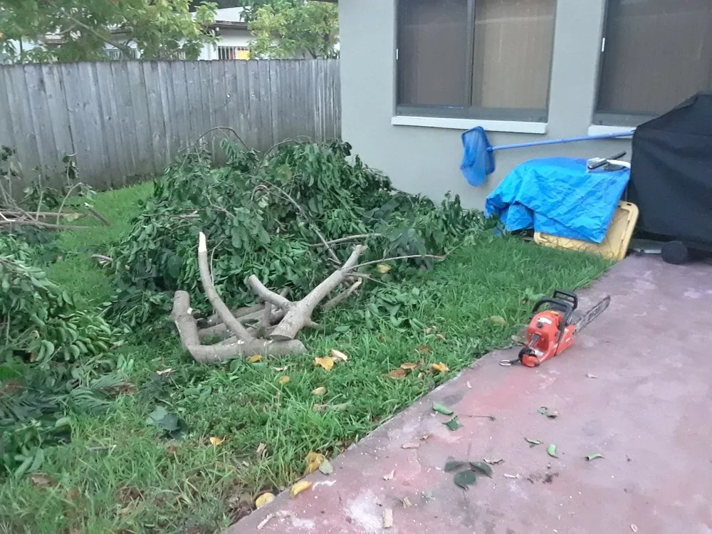 Top-rated lawn care service in Oakland Park, FL - Adescat Landscaping & Lawn Care