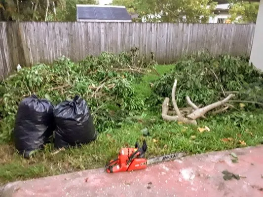 Adescat Landscaping & Lawn Care Logo