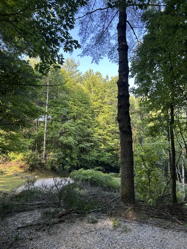 Trusted landscape installation in Topton, NC by ADEX Land Solutions