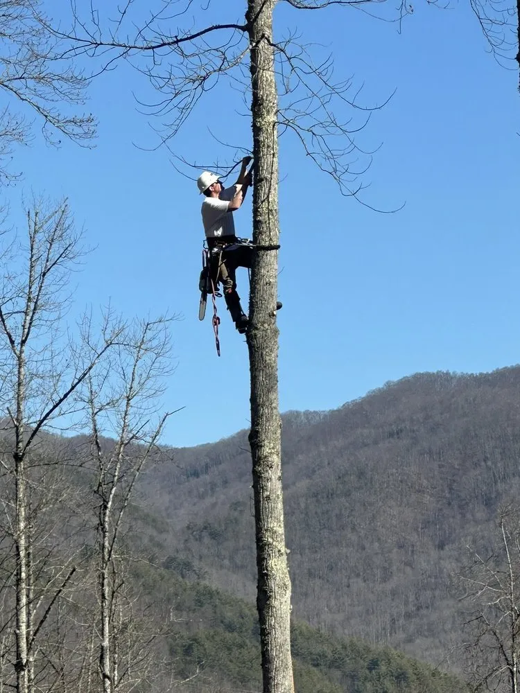 Trusted landscape installation for outdoor upgrades across Topton, NC - ADEX Land Solutions