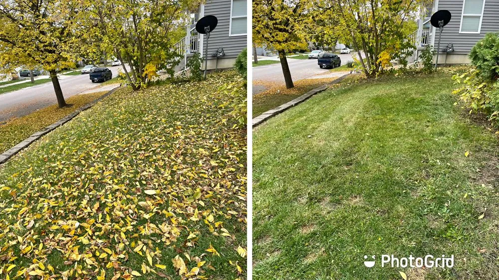 Local residential landscaping for year-round maintenance in Wyoming, MI by Adg Lawncare Services
