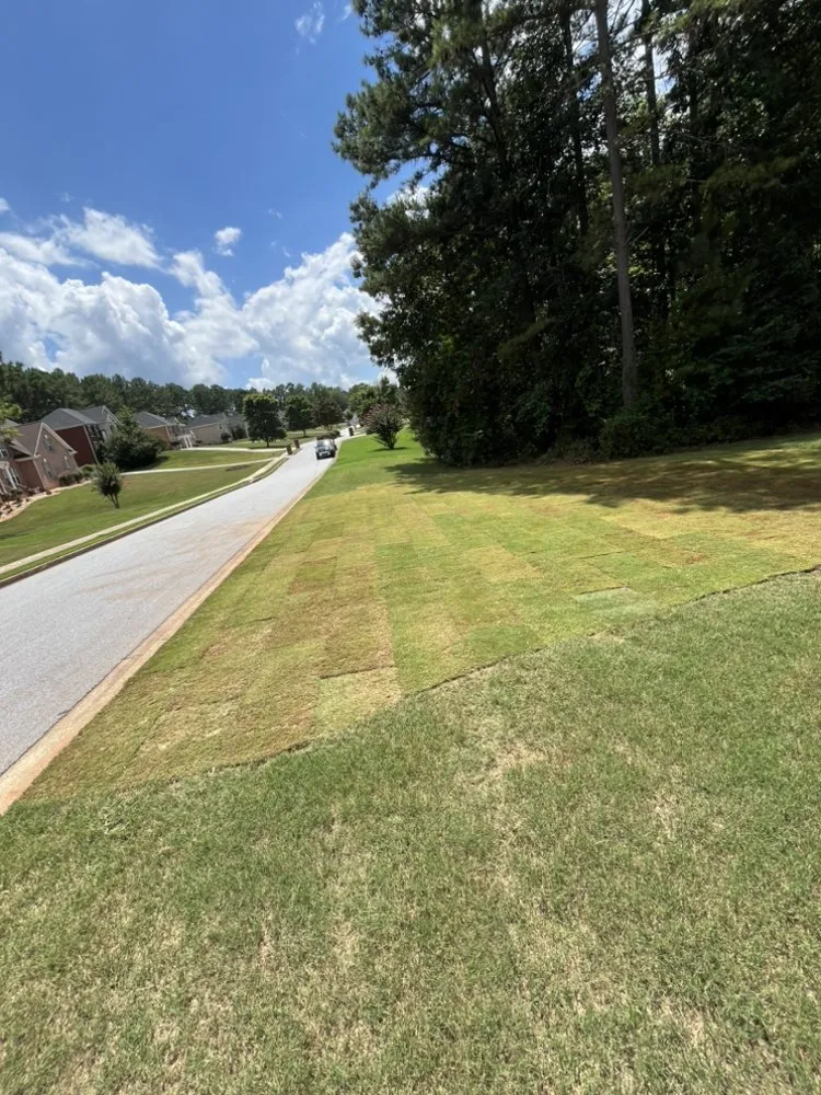 Trusted landscaping services for residential properties in Loganville, GA by ADH Landscaping