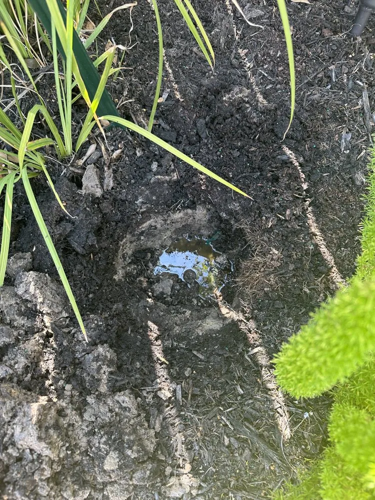 Reliable landscape design for residential properties across Houston, TX - A.D.I Landscaping & Tree Service