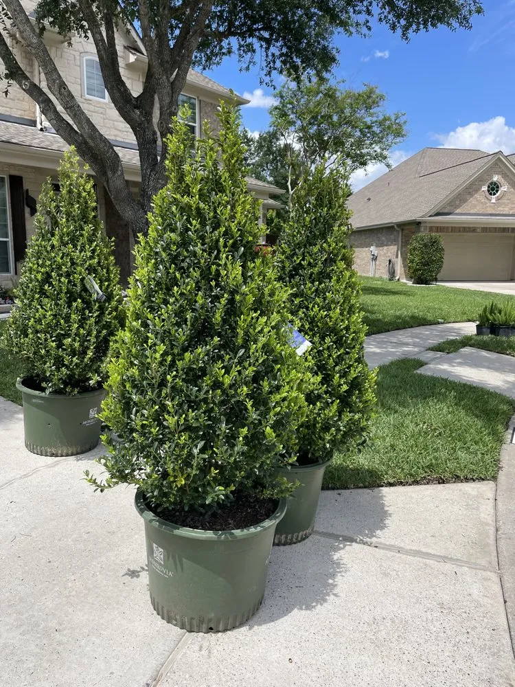 Affordable landscape design for year-round maintenance across Houston, TX - A.D.I Landscaping & Tree Service