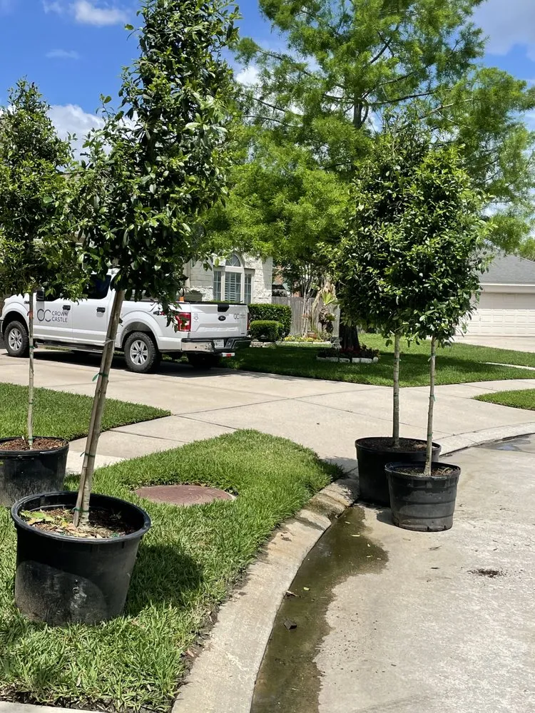 Expert lawn care service experts serving Houston, TX - A.D.I Landscaping & Tree Service