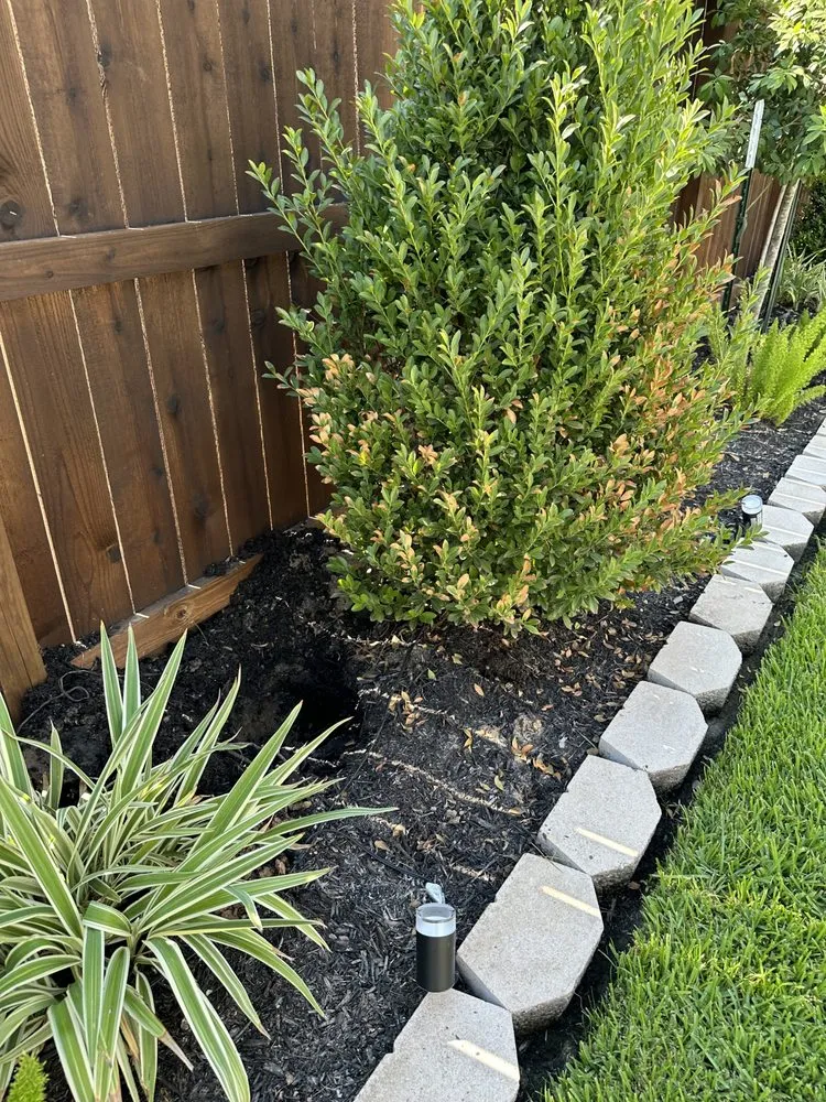 Custom lawn mowing service in Houston, TX - A.D.I Landscaping & Tree Service