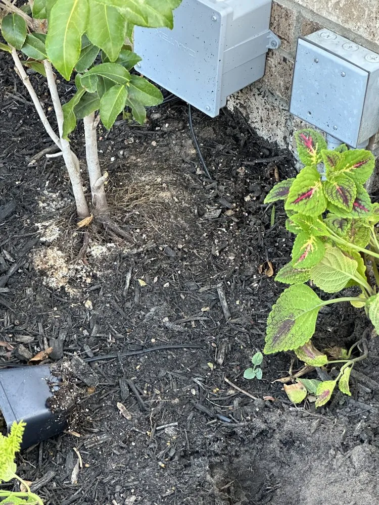 Professional yard maintenance for outdoor upgrades in Houston, TX by A.D.I Landscaping & Tree Service