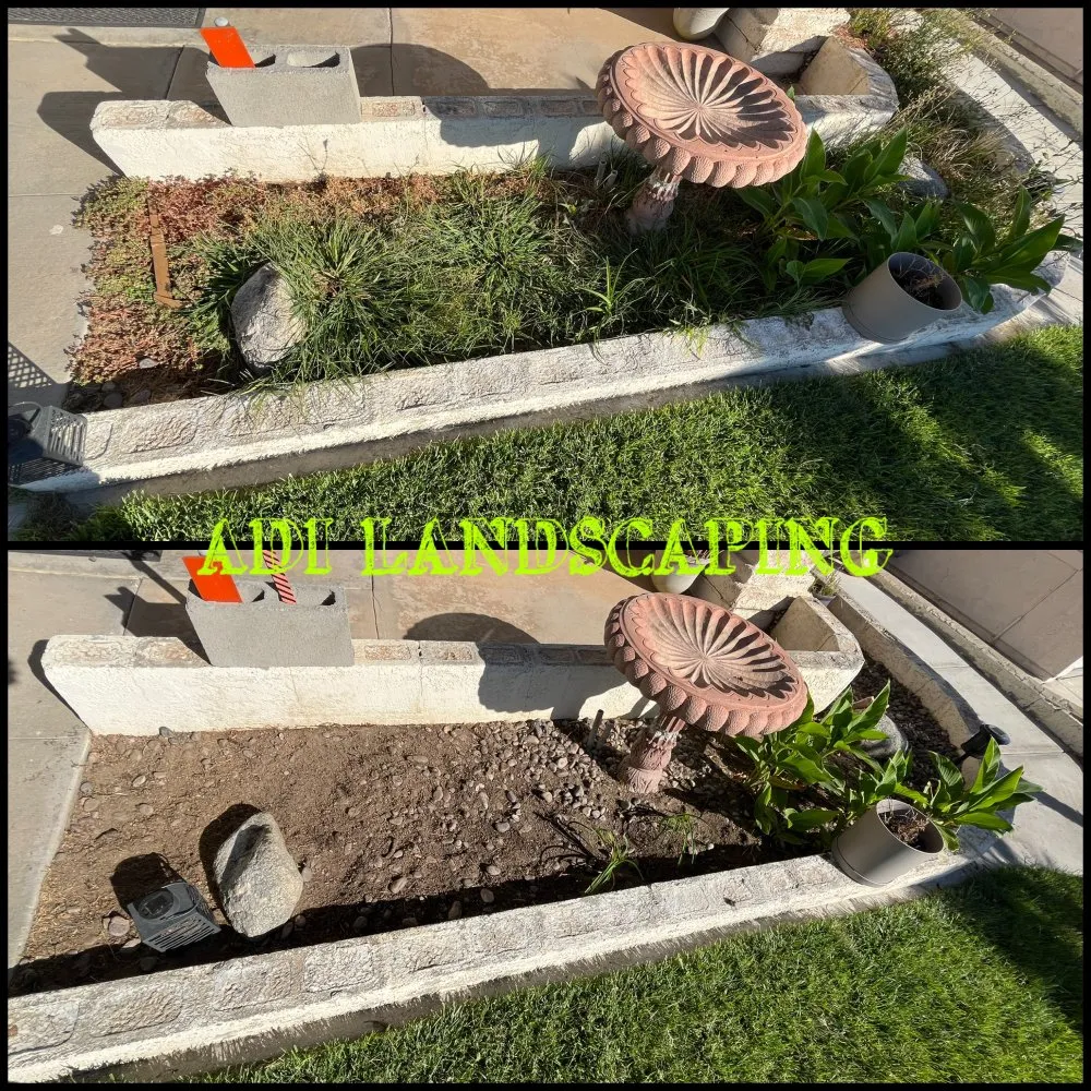 Local residential landscaping near you in Hesperia, CA by ADI Landscaping