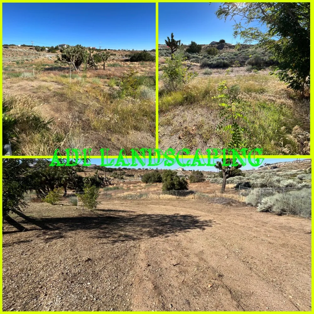 Expert residential landscaping for outdoor upgrades in Hesperia, CA by ADI Landscaping