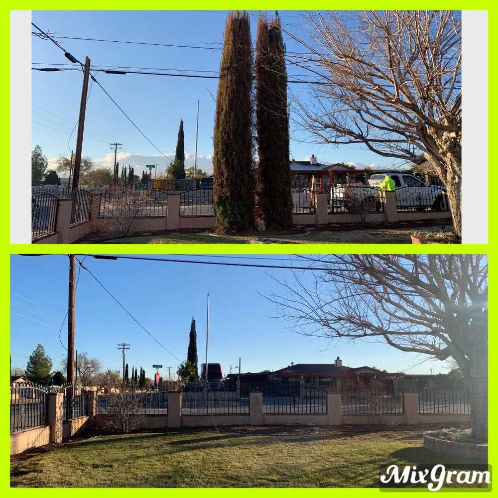 Affordable yard cleanup service near you across Hesperia, CA - ADI Landscaping