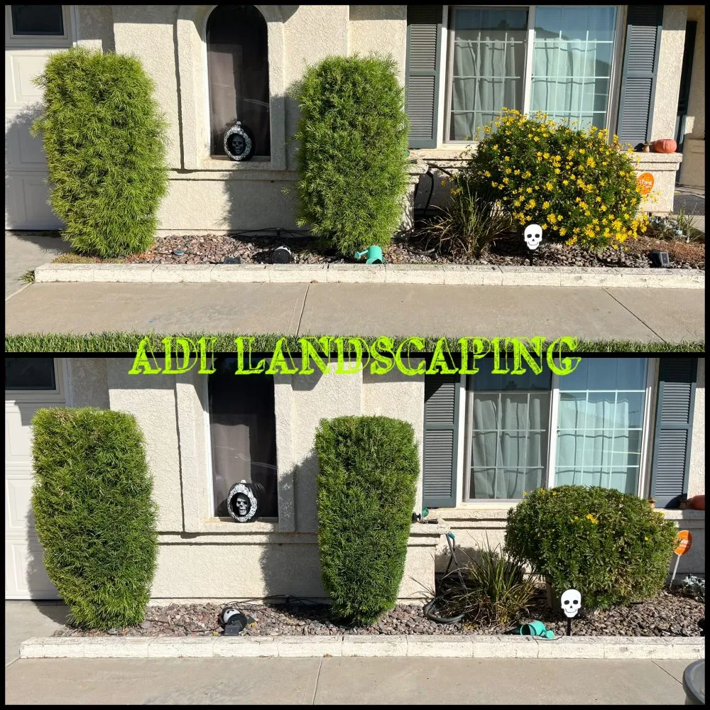 Professional lawn care service for homes across Hesperia, CA - ADI Landscaping