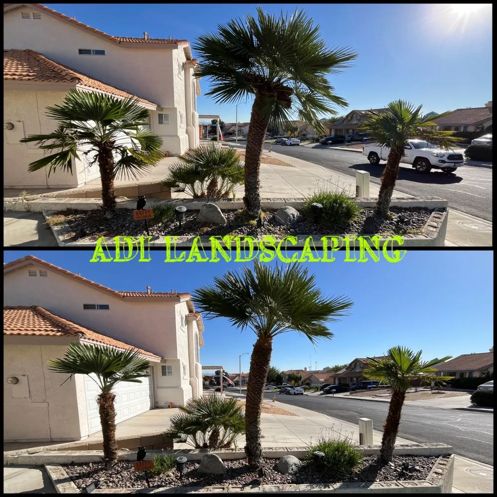 Local yard maintenance for beautiful yards in Hesperia, CA by ADI Landscaping