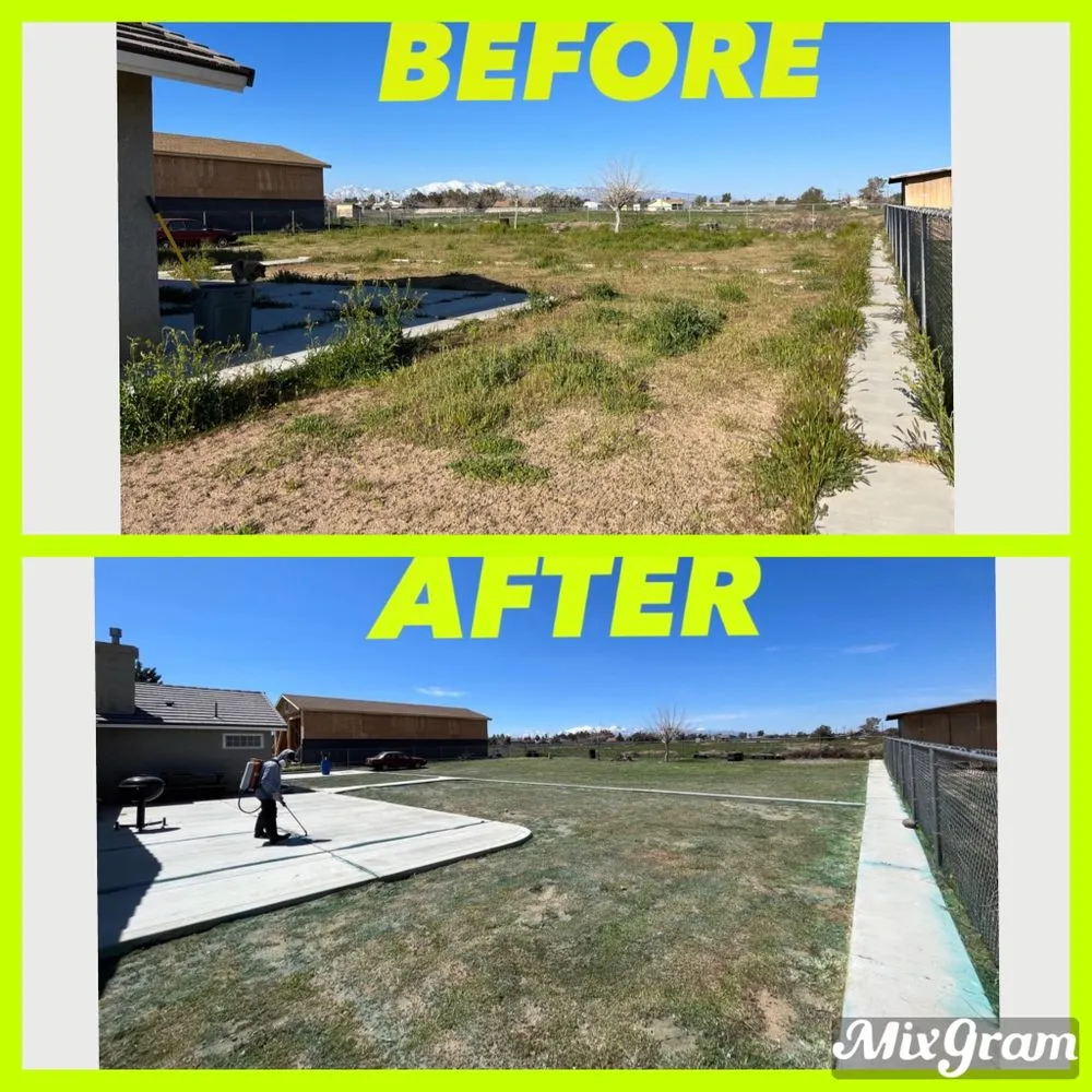 Reliable residential landscaping experts serving Hesperia, CA - ADI Landscaping