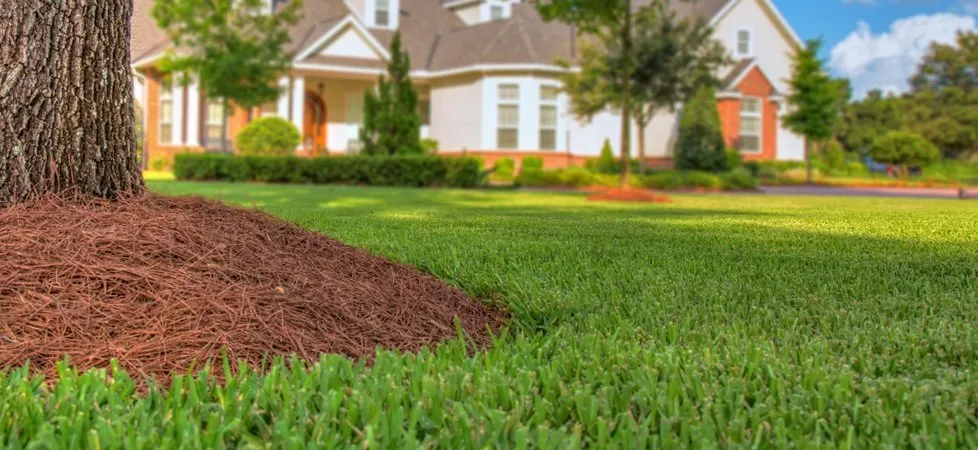 Local landscape installation experts serving New Braunfels, TX - Adios Weeds