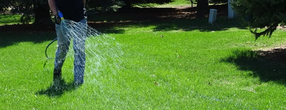 Trusted yard cleanup service in New Braunfels, TX - Adios Weeds