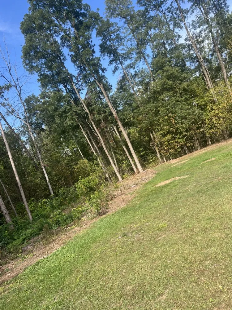 Professional outdoor landscaping for year-round maintenance in Manawa, WI by ADK Stump And Tree Removal