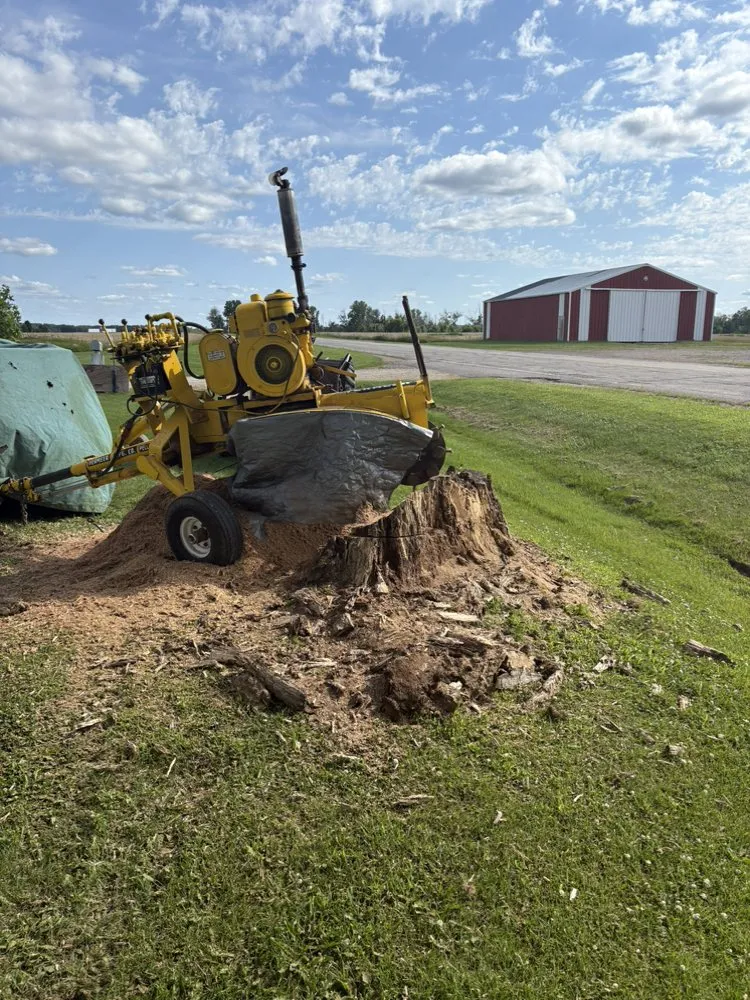Local lawn mowing service in Manawa, WI - ADK Stump And Tree Removal