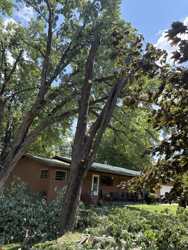 Reliable lawn mowing service in Manawa, WI by ADK Stump And Tree Removal