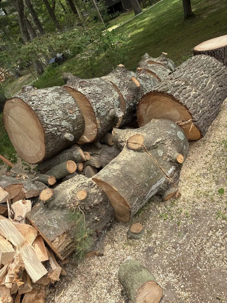 Reliable yard cleanup service for residential properties in Manawa, WI by ADK Stump And Tree Removal